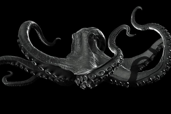 Kraken official