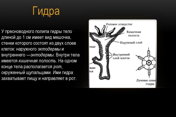 Кракен 12 at